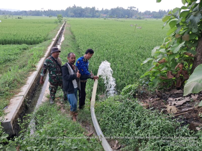 Dampingi Kegiatan Gerakan Pengendalian Hama dan Penyakit (GERDAL) Preventif Poktan Margo Rahayu.
