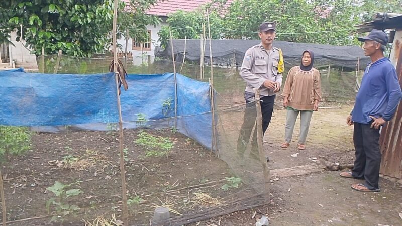 Bhabinkamtibmas Polsek Pandih Batu Sampaikan Kepada Warga Masyarakat Waspadai Modus Penipuan Online