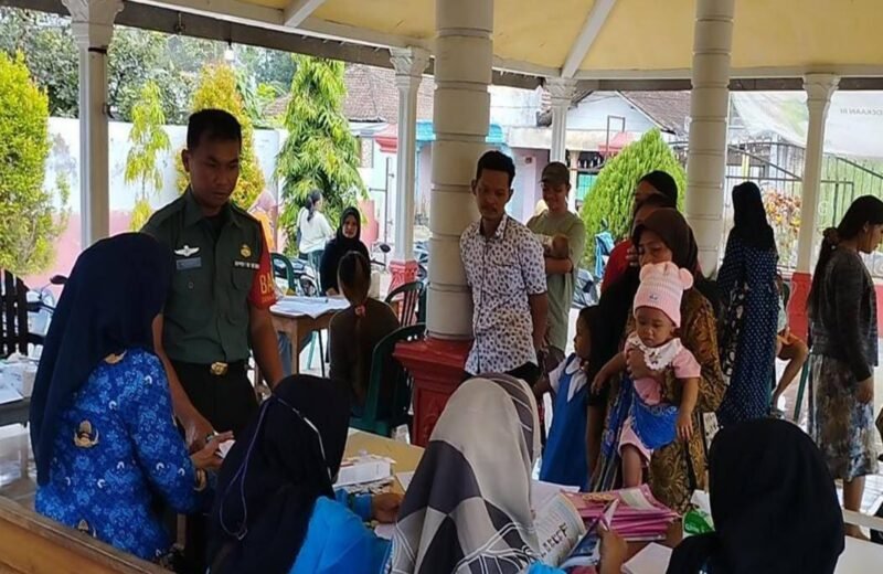 Upaya Cegah Stunting Di Wilayah Binaan, Babinsa Desa Ngembul Dampingi Kegiatan Posyandu
