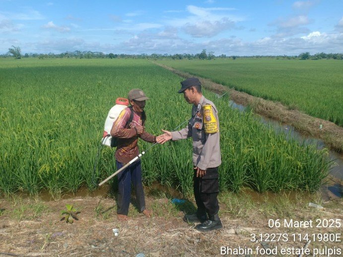 Rutin Sambangi Petani, Bhabinkamtibmas Food Estate Sampaikan Pesan Kamtibmas kepada warga binaan