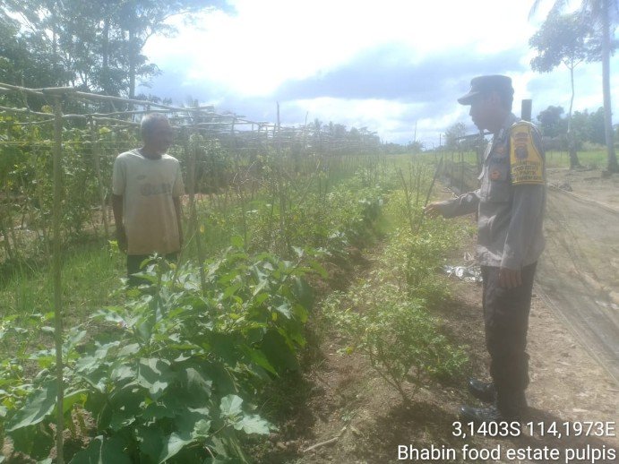 Bhabinkamtibmas Desa Sanggang Sambangi Masyarakat Desa Binaan sekaligus Sisipkan Pesan Kamtibmas terkait pemanpaatan perkarangan bergizi