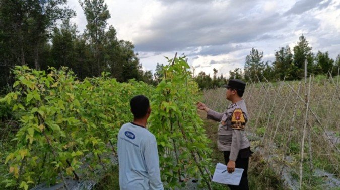 Dukung Program Ketahanan Pangan, Bhabinkamtibmas Polsek Banama Tingang Dampingi Petani Desa Binaan