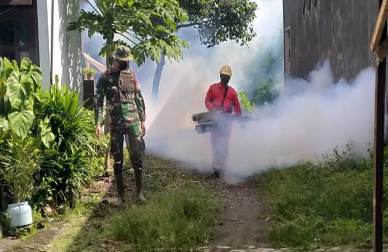 Antisipasi Demam Berdarah Babinsa Bersama Tim Kesehatan Puskesmas Melaksanakan Fogging Dan Sosialisasi Di Sananwetan