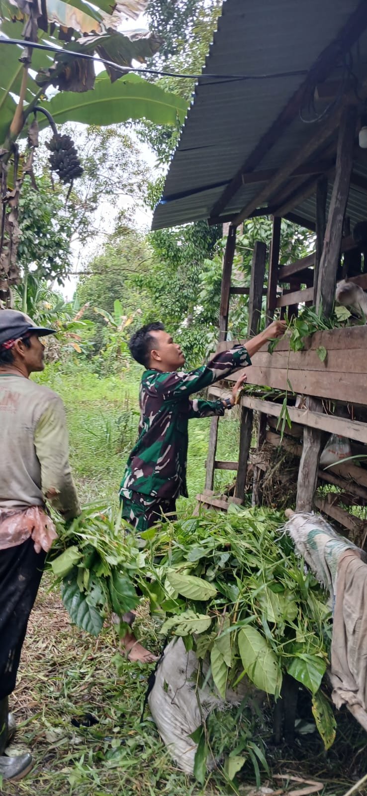Babinsa Tri Kembang Komsos Bersama Peternak Kambing Desa Binaan