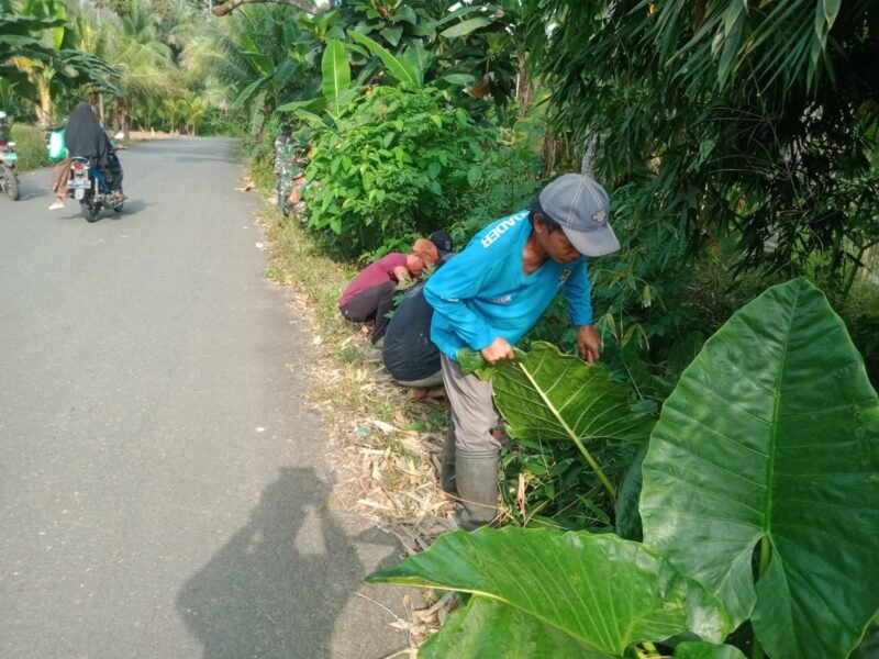 Gotong Royong Babinsa dan Warga Jamil : Parit Bersih, Banjir Terhindar
