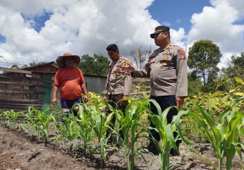 Polsek Kahayan Tengah Bina Petani untuk Perkuat Ketahanan Pangan Nasional