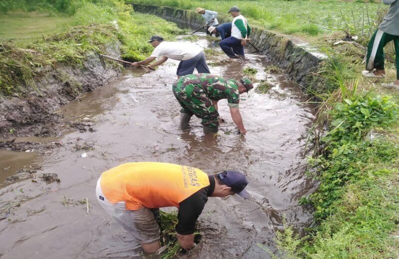 Babinsa Kalipucung Bersama Poktan Tata Tentram Lakukan Kerja Bakti
