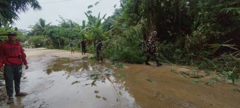 Aksi Tanggap Babinsa Koramil 1008-02, Bantu Warga Bersihkan Jalan yang Tertutup Pohon Bambu Roboh