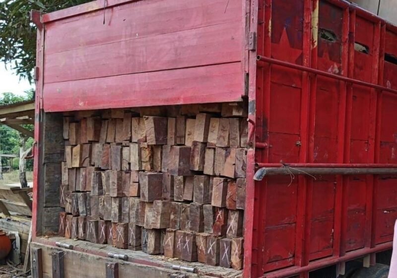 Pelaku Ilegal Logging Kabur dari Polsek Sungai Laur, Aparat Lakukan Pengejaran