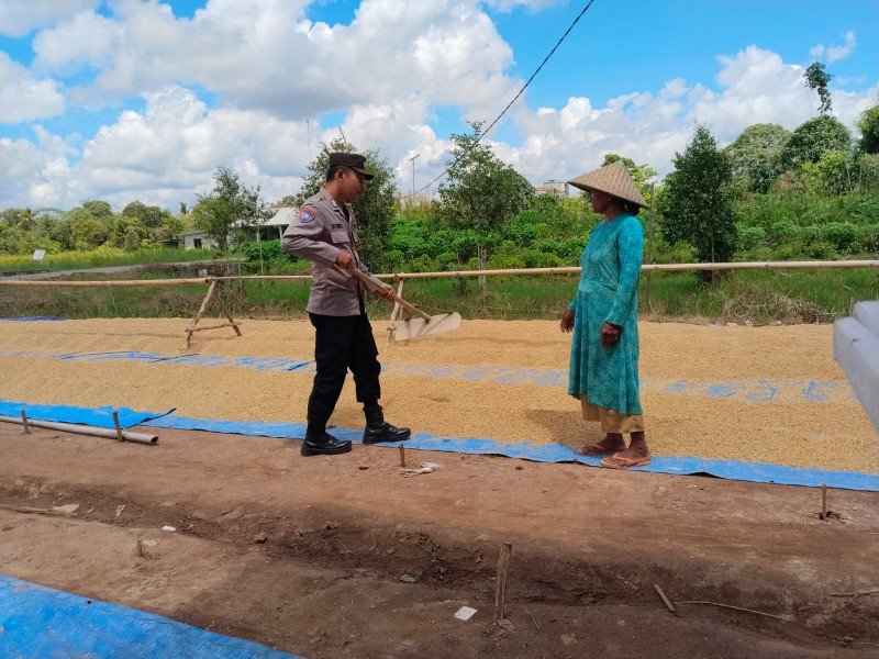 Rutin Sambangi Petani, Bhabinkamtibmas Food Estate Sampaikan Pesan Kamtibmas kepada warga binaan