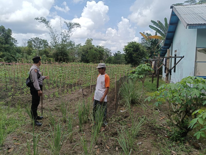 Dukung Asta Cita Presiden RI, Polsek Maliku Dampingi Petani