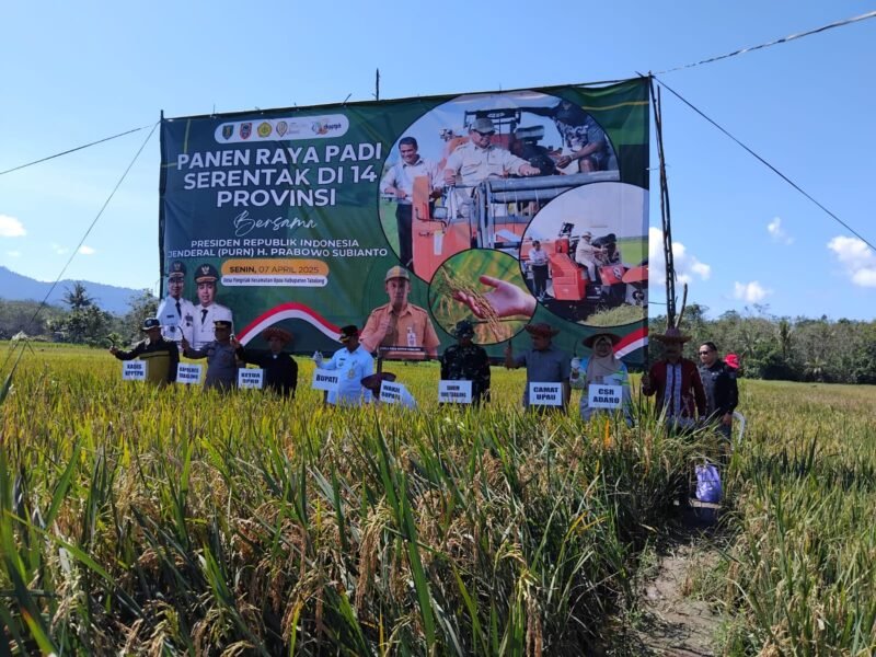 Danramil 1008-02/Haruai Hadiri Panen Raya Padi Serentak di 14 Provinsi Tahun 2025 di Desa Pangelak