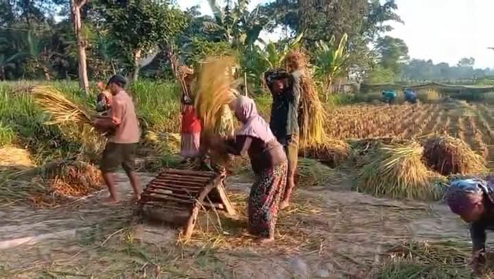 Foto: TNI UNTUK RAKYAT