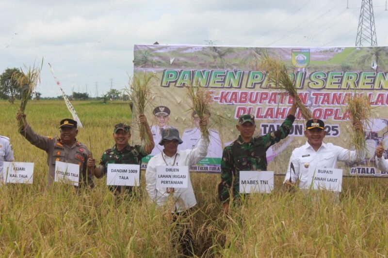 Bersama Bupati Tala Dandim 1009/Tanah Laut Mengikuti Panen Raya Padi Di Kecamatan Bumi Makmur