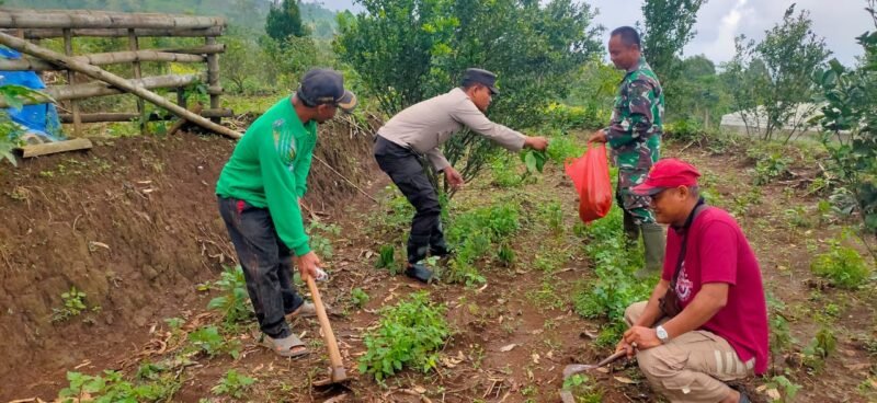 Polres Nganjuk Bersama Warga Tani Kembali Tanam Jagung Wujudkan Ketahanan Pangan Berkelanjutan