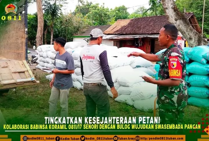 Tingkatkan Kesejahteraan Petani, Kolaborasi Babinsa Koramil 0811/17 Senori Dengan Bulog Wujudkan Swasembada Pangan