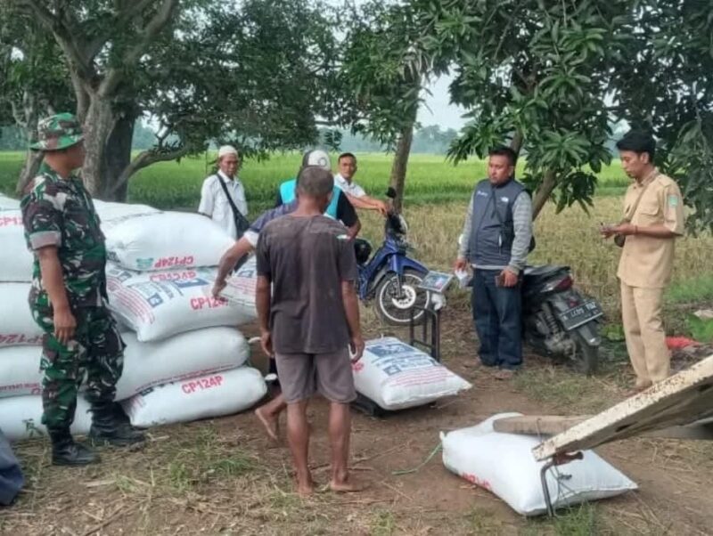 Babinsa Bersama PPL, Dampingi Bulog Dalam Rangka Sergap