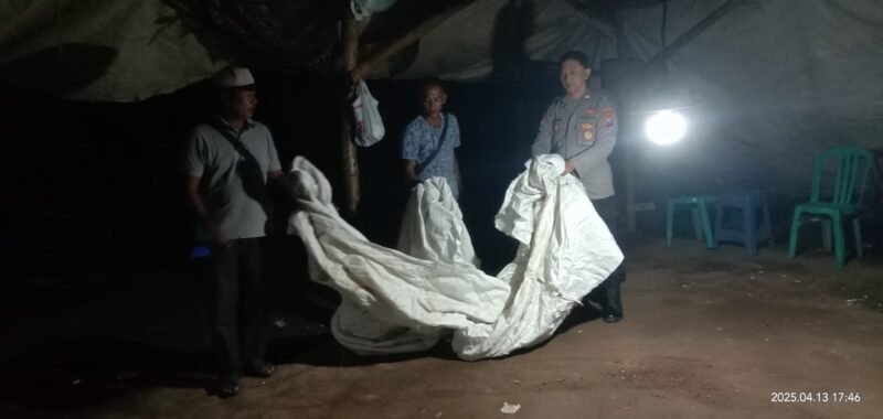 Berantas Perjudian Polisi Bongkar Arena Sabung Ayam di Nganjuk