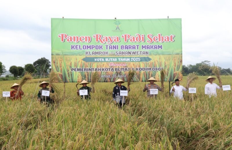 Semangat Gapoktan Dan Warga Kelurahan Klampok Rayakan Panen, Padi Bersama Forkopimda Kota Blitar