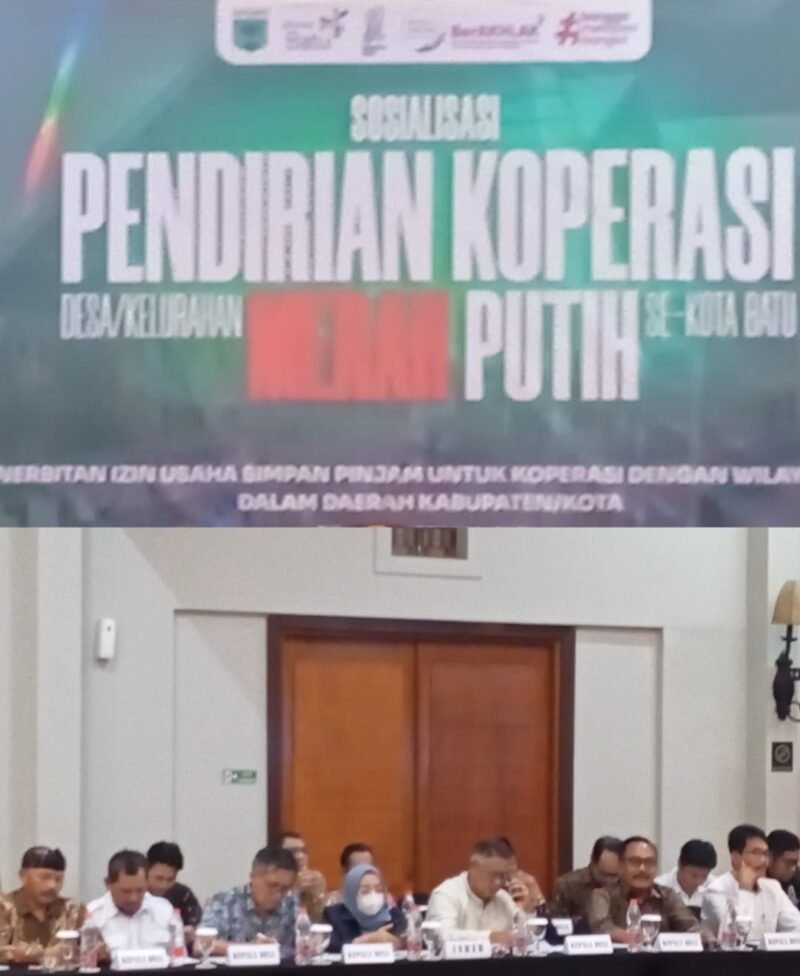 Koperasi Desa Merah Putih dan CooSAE, Akan Cepat Wujudkan Ekonomi Perdesaan
