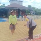 Rutin Sambangi Petani, Bhabinkamtibmas Food Estate Sampaikan Pesan Kamtibmas kepada warga binaan
