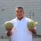 Lapas Warungkiara, Lakukan Kegiatan Panen Raya Melon