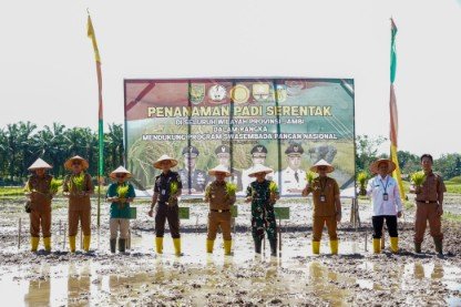 Komitmen Sukseskan Program Swasembada Pangan Nasional, Kodim 0416/Bute Ikuti Penanaman Padi Serentak Se-Provinsi Jambi