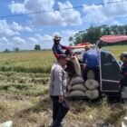 Bhabinkamtibmas Food Estate Sambangi Warga sekaligus Sisipkan Pesan Kamtibmas