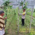 Giat dukungan, terhadap program pemerintah Pusat tentang Ketahanan Pangan