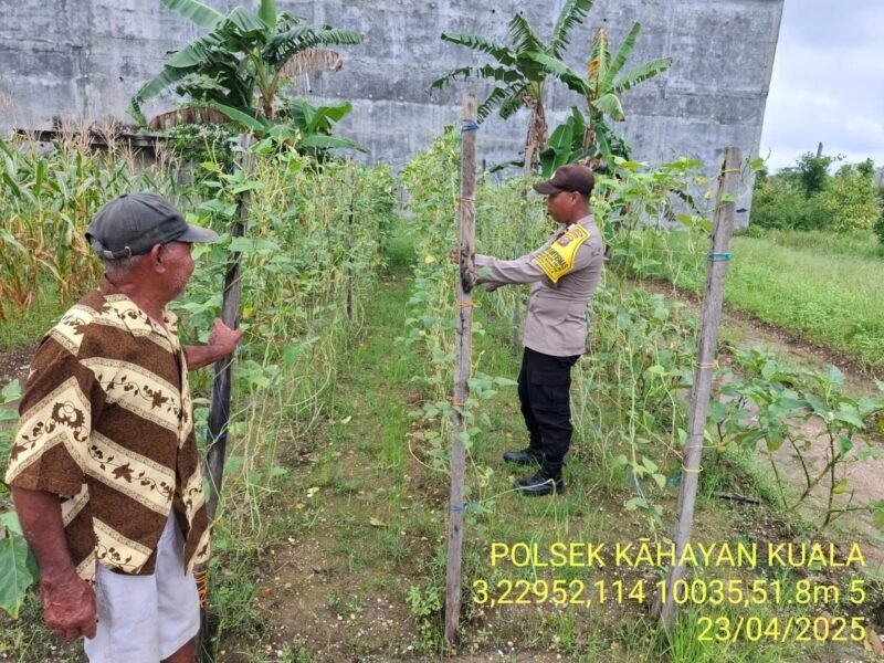 Giat dukungan, terhadap program pemerintah Pusat tentang Ketahanan Pangan