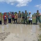 Dukung Hanpangan Nasional Dandim 1208/Sambas Hadiri Tanam Padi Serentak 14 Provinsi