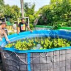 Polsek Sedati Dukung Ketahanan Pangan Nasional Dengan Pengecekan Rutin Budidaya Ikan Lele