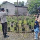 BHABINKAMTIBMAS SAMBANG KEPETANI SAMPAIKAN PESAN-PESAN KAMTIBMAS DI WILAYAH DESA MINTIN KECAMATAN KAHAYAN HILIR