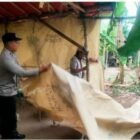 Polisi Bongkar Arena Perjudian Sabung Ayam di Ngronggot Nganjuk