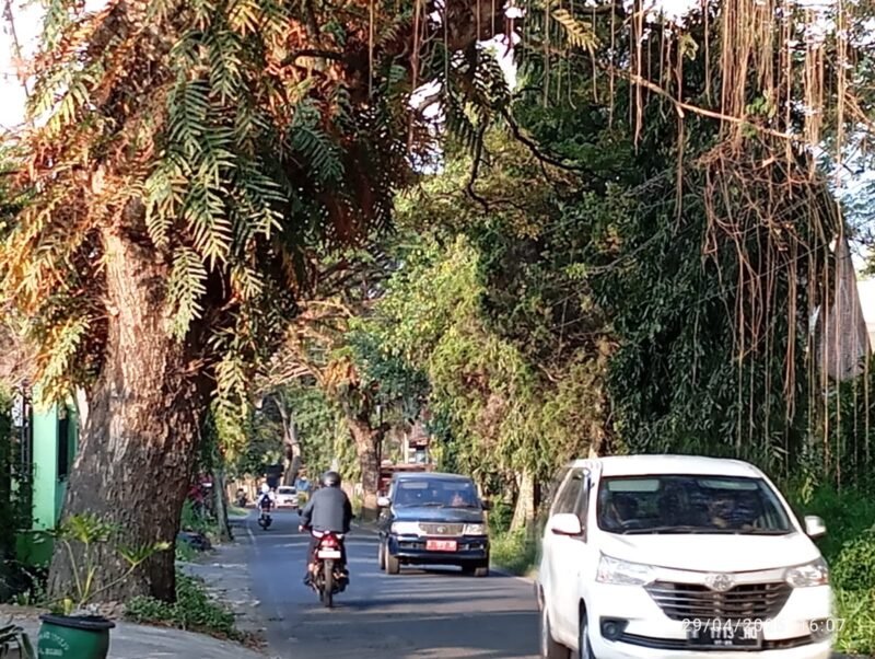 Foto: Kondisi Jln.Diponegoro Junrejo di kawasan Krematorium Kota Batu Bergelombang.