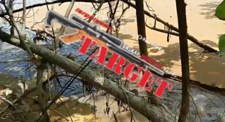 DLH Kalbar Bungkam, Limbah di Buang ke Laut, PT, DIB