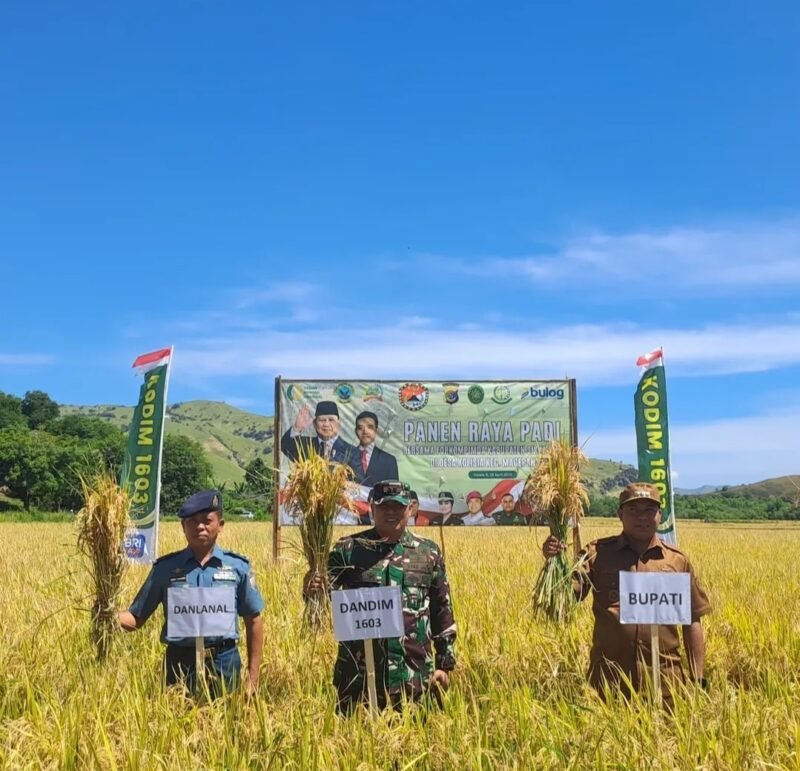 Dandim 1603/Sikka Hadiri Panen Raya Padi, Dukung Swasembada Pangan Nasional