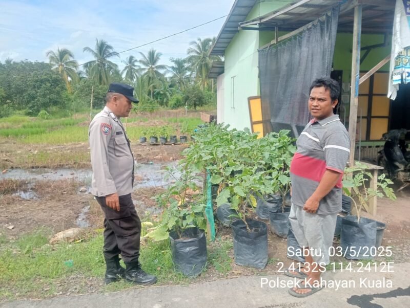 Giat dukungan Terhadap Program Pemerintah Pusat Tentang Ketahanan Pangan