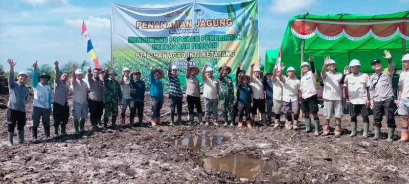 Dukung Hanpangan Nasional Danramil 07/Teluk Keramat Hadiri Tanam Jagung Bersama PT LAIK