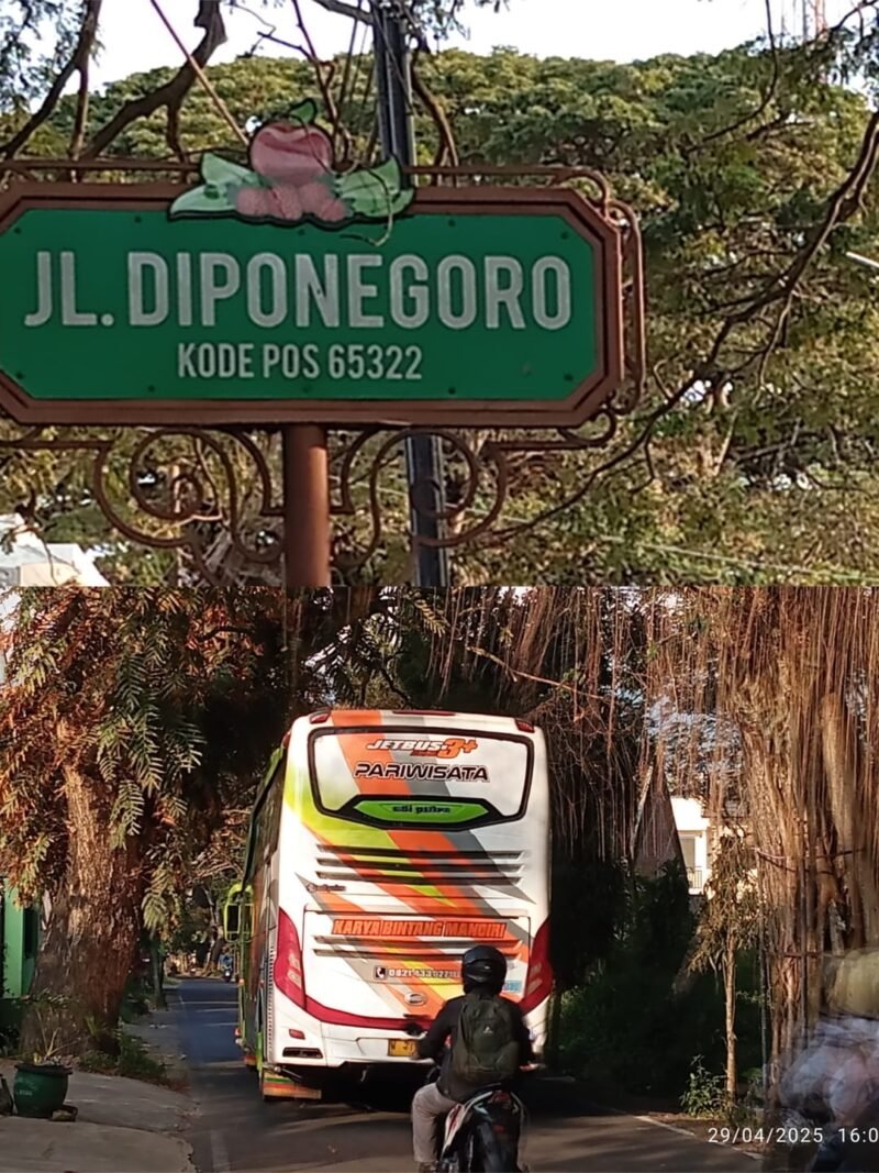 Foto : Jln.Diponegoro Junrejo Batu, kondisi pohonnya sangat mengkawatirkan.
