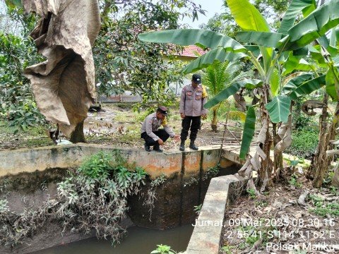 Cegah Potensi Karhutla Polsek Maliku Cek Kondisi Sekat Kanal di Wilkumnya
