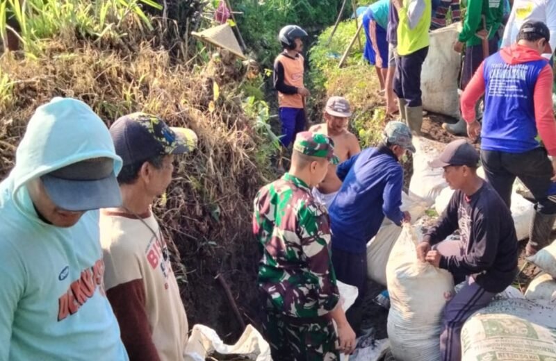 Gotong Royong Babinsa Sumberagung Dan Poktan Tirto Agung Bersihkan Saluran Air Untuk Kelancaran Irigasi