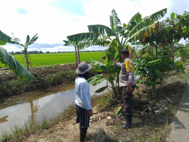 Dengan Rutin Sambang, Bhabinkamtibmas Food Estate Sampaikan Pesan Kamtibmas