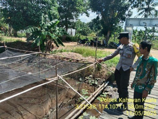 Giat dukungan terhadap program pemerintah Pusat tentang Ketahanan Pangan