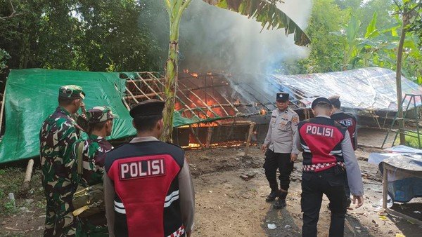 Lahan Sabung Ayam, di Bakar Aparat Penegak Hukum