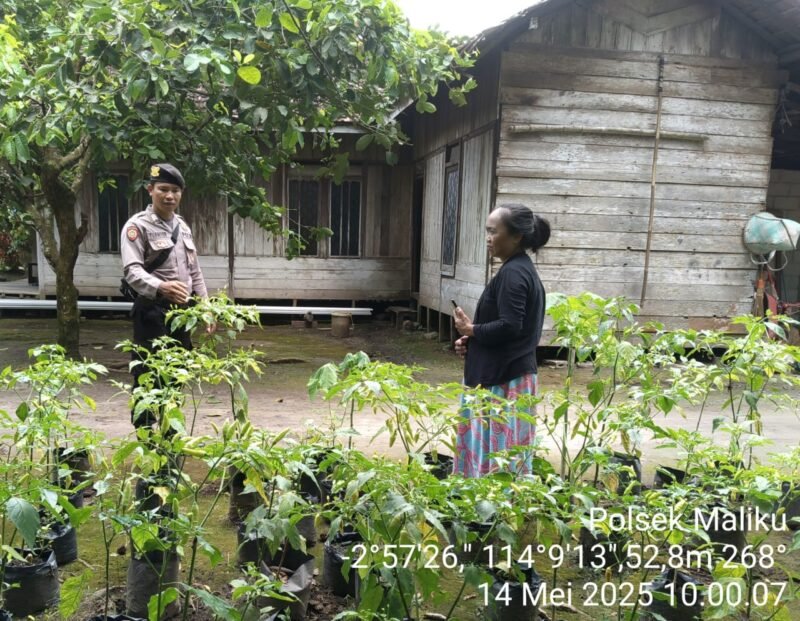 Polsek Maliku Aktif Dalam Sosialisasikan Program Pemanfaatan Pekarangan Bergizi