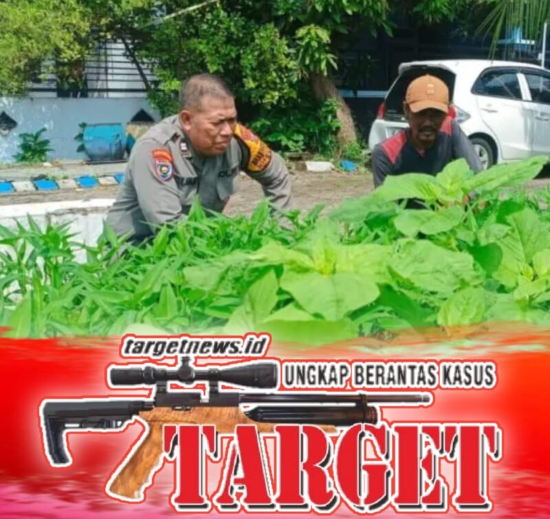 Polisi Cinta Petani Dengan Pemanfaatan dan Stabilitas Melalui PKPN