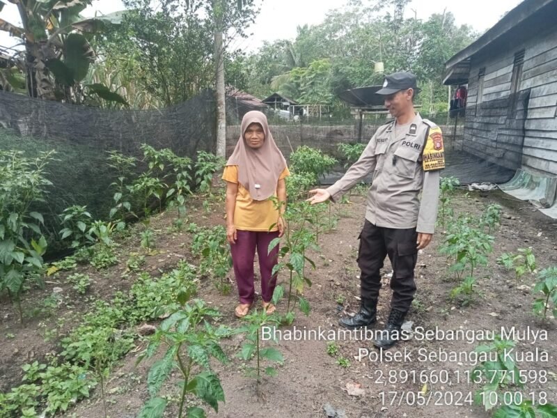 Kegiatan dukungan terhadap program pemerintah Pusat tentang Ketahanan Pangan