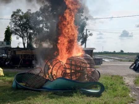 Polsek Krian Grebek Sabung Ayam Di Tempat Pembuangan Sampah