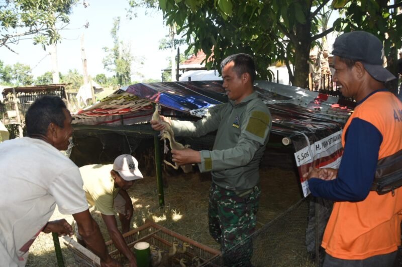 Satgas TMMD ke-124 Kodim 1002/HST Sambangi Peternak Itik di Sela Kegiatan